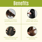 QH+ Quick Henna Hair Absolute Gel- 100ml